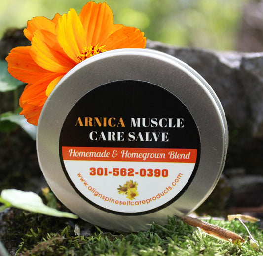 Arnica muscle care salve with Arnica, menthol, shea butter, organic beeswax, ginger, turmeric and herbal essential oils