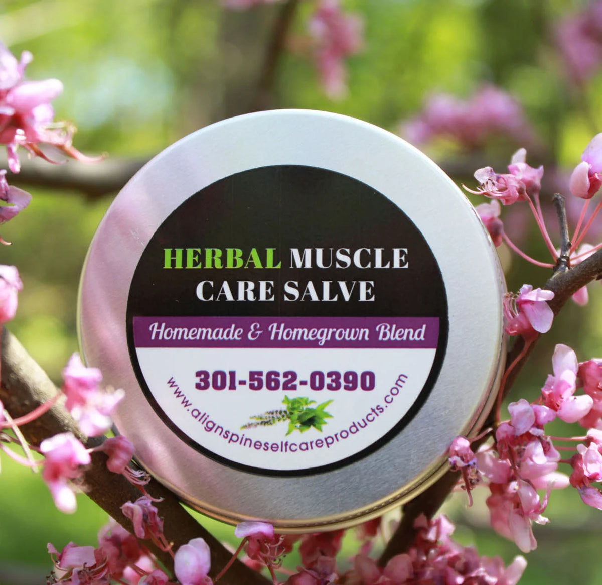 Herbal muscle care salve made with shea butter, organic beeswax, menthol, ginger, turmeric and multiple essential oils